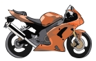Race